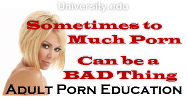 Porn and Adult Entertainment Porn101