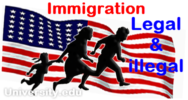 Immigration iMMi101